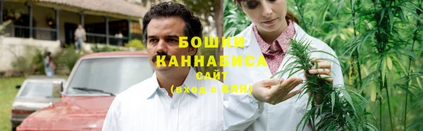шишки Абаза