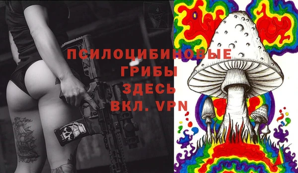 шишки Абаза