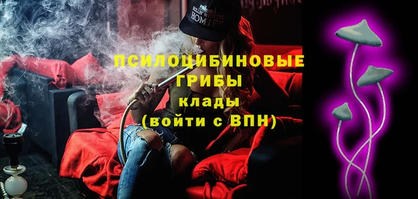 шишки Абаза