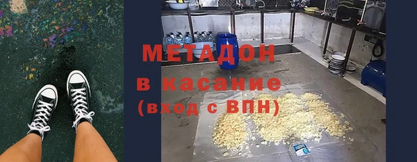 шишки Абаза