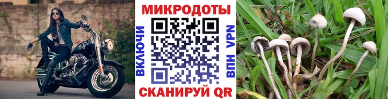 гидра   купить   Новотроицк  Галлюциногенные грибы Psilocybe 
