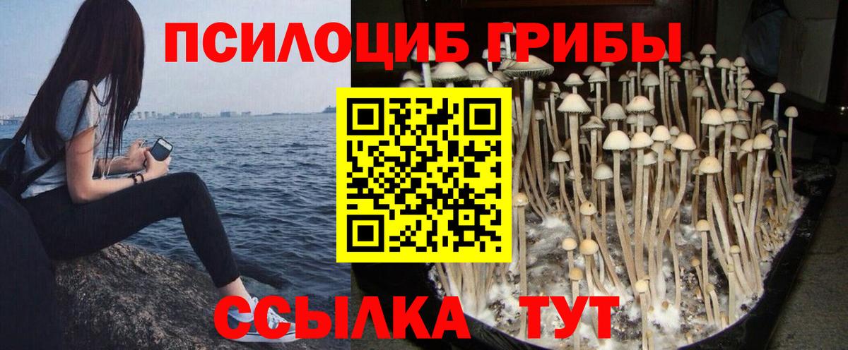 Галлюциногенные грибы мицелий  Вход с VPN  Новотроицк 