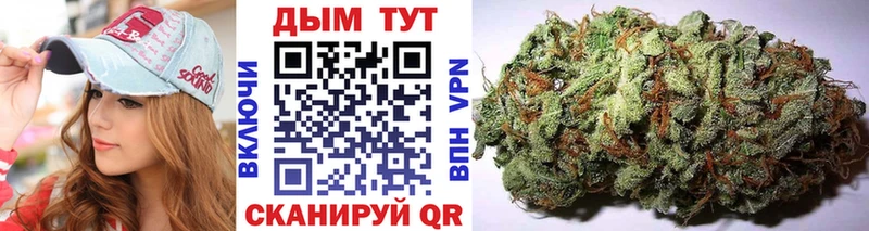 мега ссылки  Новотроицк  Бошки Шишки White Widow  сколько стоит 